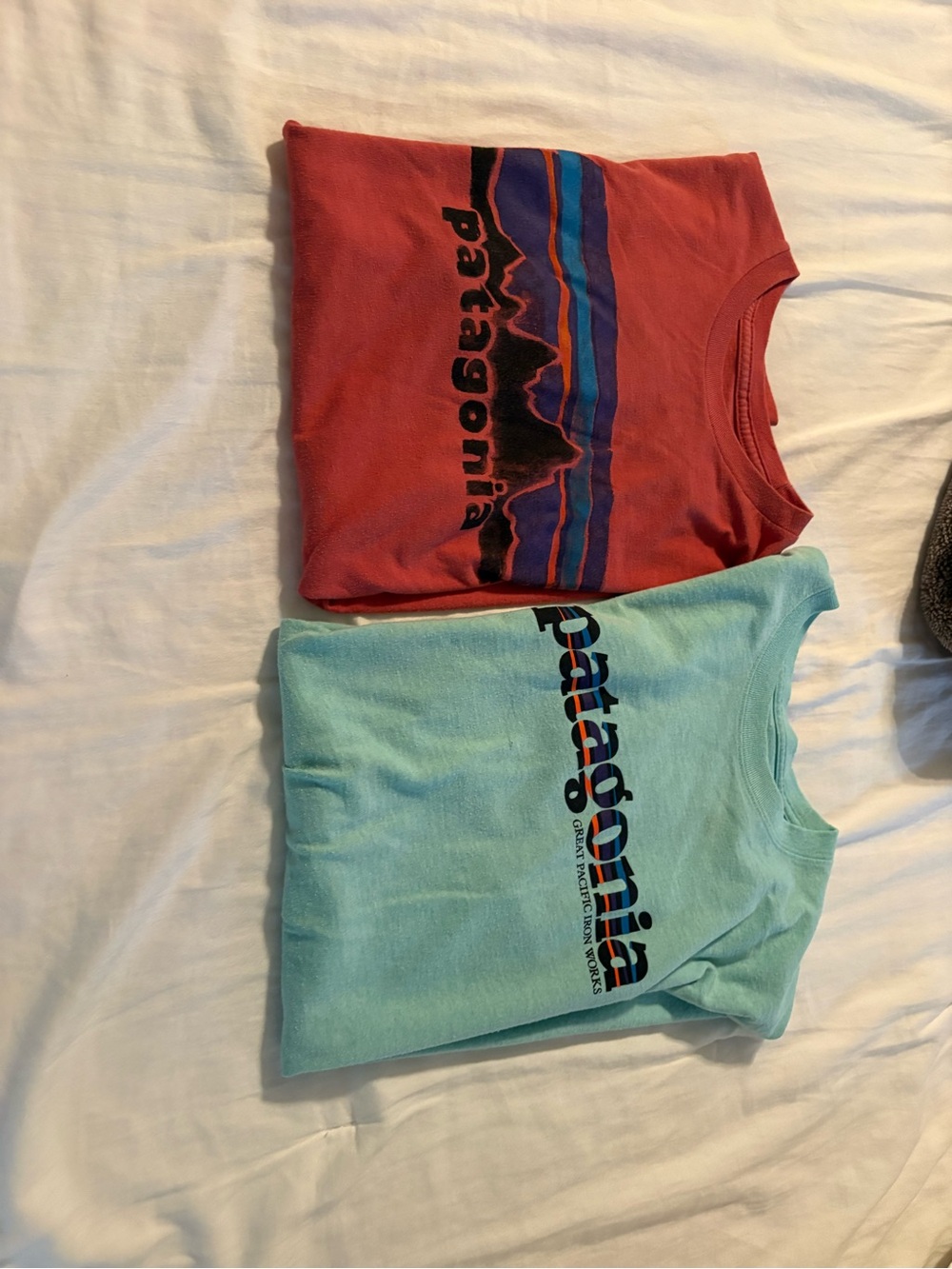 Patagonia Mint Green Logo Short Sleeve Tee